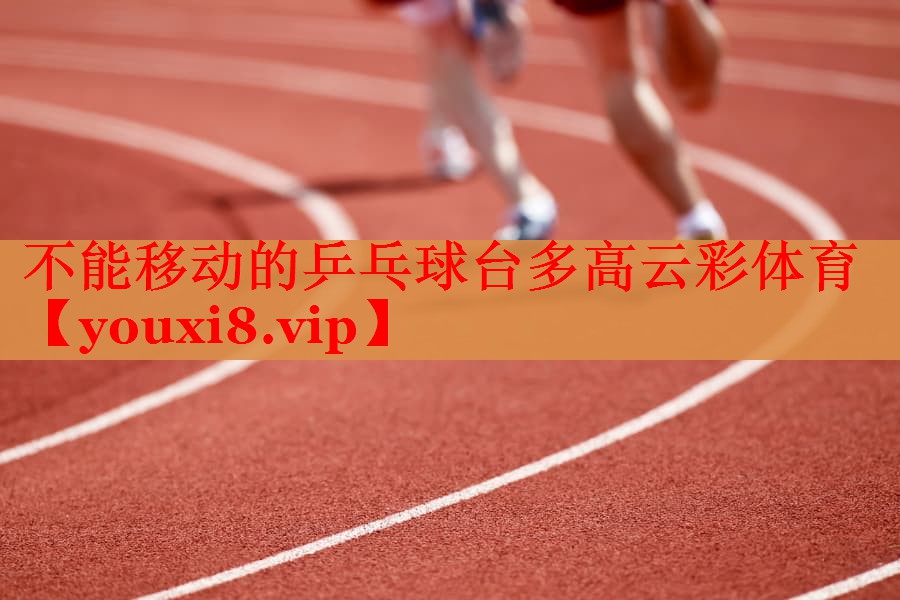 不能移动的乒乓球台多高云彩体育
