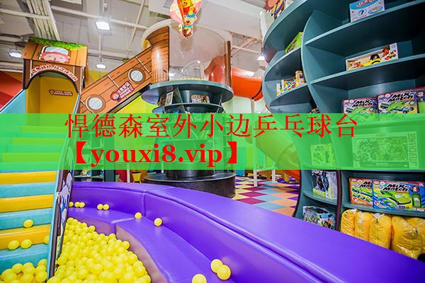悍德森室外小边乒乓球台
