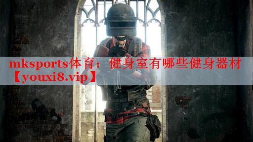 mksports体育：健身室有哪些健身器材