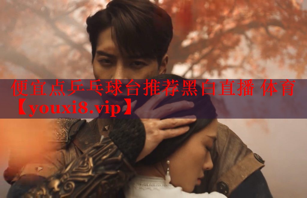便宜点乒乓球台推荐黑白直播 体育