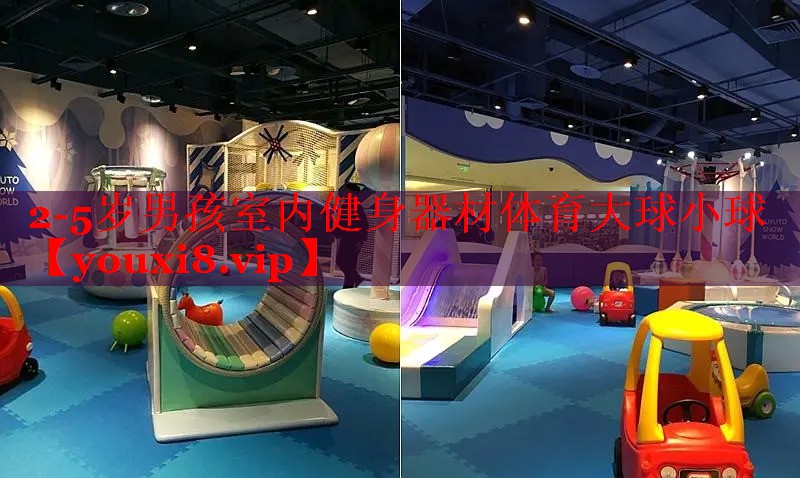 2-5岁男孩室内健身器材体育大球小球