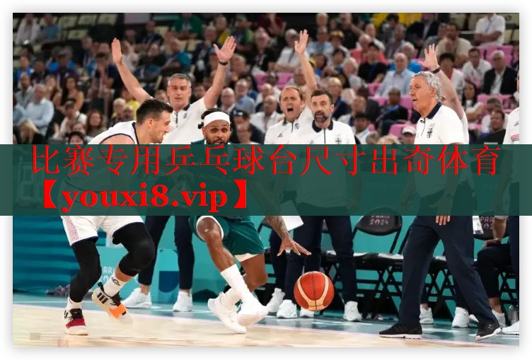 比赛专用乒乓球台尺寸出奇体育