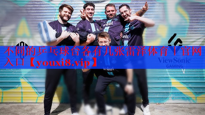 不同的乒乓球台各有几张雷泽体育｜官网入口