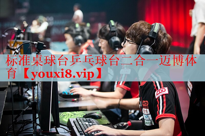 标准桌球台乒乓球台二合一迈博体育