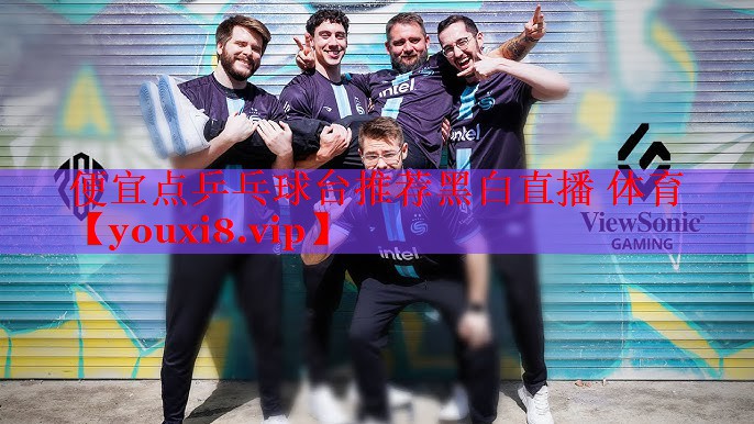 便宜点乒乓球台推荐黑白直播 体育