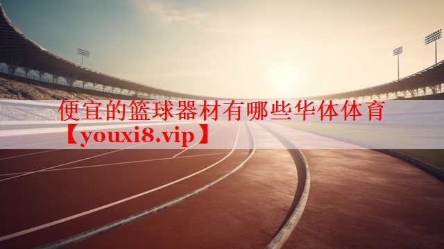便宜的篮球器材有哪些华体体育