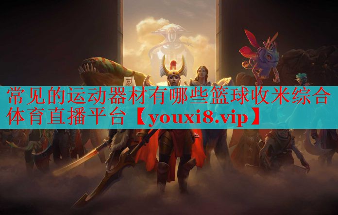 常见的运动器材有哪些篮球收米综合体育直播平台