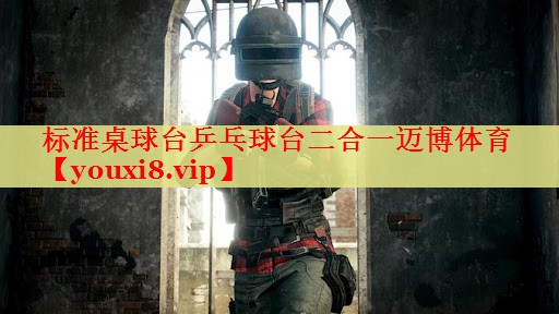 标准桌球台乒乓球台二合一迈博体育