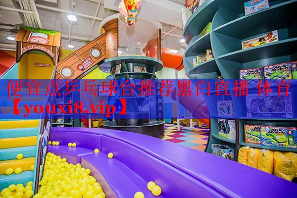 便宜点乒乓球台推荐黑白直播 体育