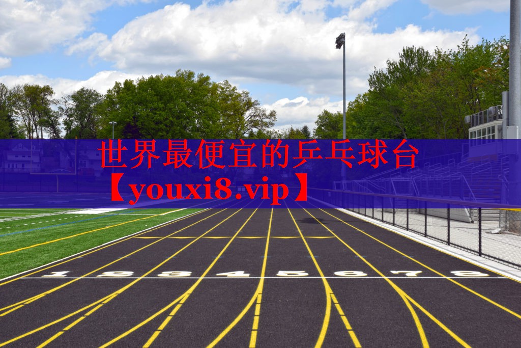 世界最便宜的乒乓球台