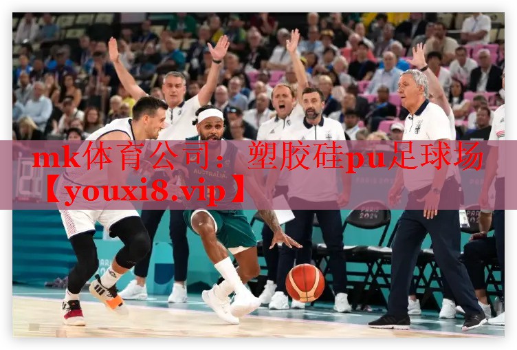 塑胶硅pu足球场 塑胶硅pu足球场