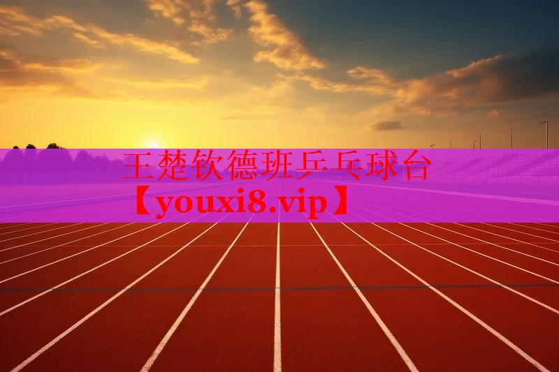 王楚钦德班乒乓球台