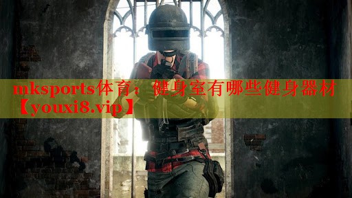 健身室有哪些健身器材
