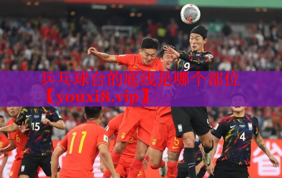 乒乓球台的底线是哪个部位