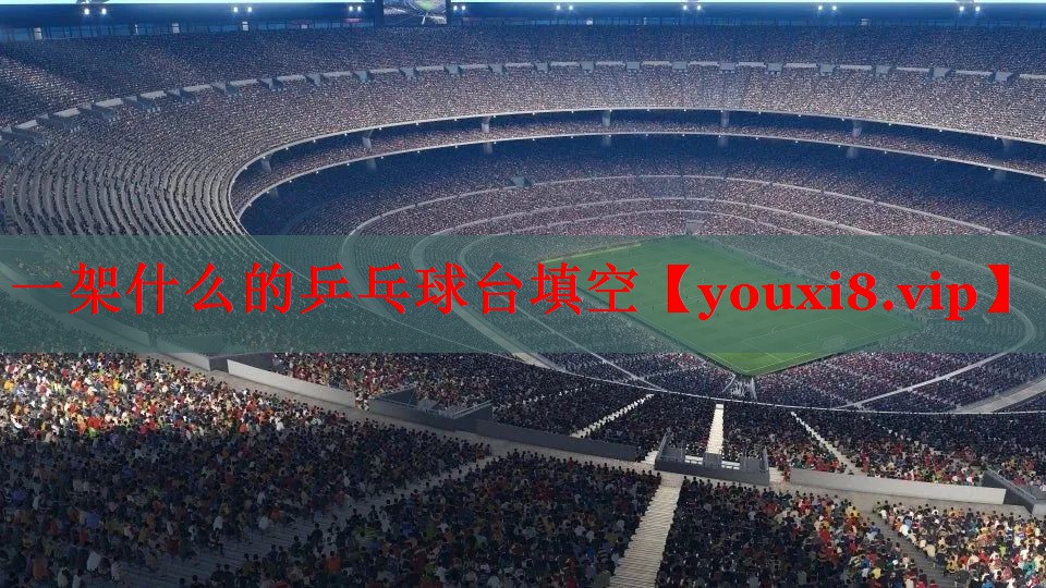 一架什么的乒乓球台填空