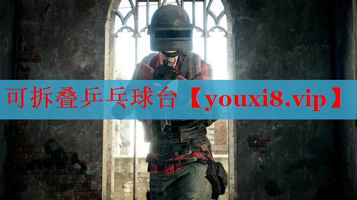 可拆叠乒乓球台
